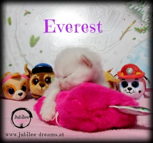 Everest